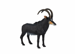 Mojo Antilopa vraná