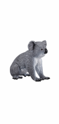 Mojo Koala
