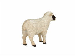 Mojo Hampshire ovce