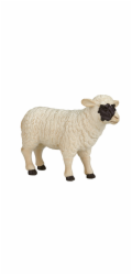 Mojo Hampshire ovce
