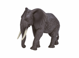 Mojo Slon africký