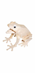 Woodcraft Dřevěné 3D puzzle Žába