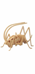 Woodcraft Dřevěné 3D puzzle cvrček