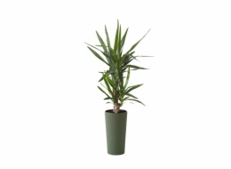 Hrnec Lamela Lilia 874-42, plast, H 18,5 cm, zelený