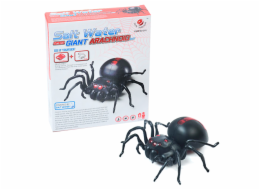 Pavouk na slanou vodu