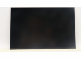 Lenovo DISPLAY BOE 14.0 WUXGA AG