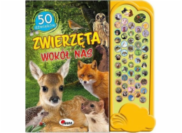 Morex 50 Sounds Zvířata kolem nás 58.11.1. 12160