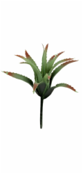 Lucky Reptile-Sukulenty Tillandsia, cca 17 cm bez základny