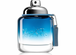 Coach Blue EDT 100 ml