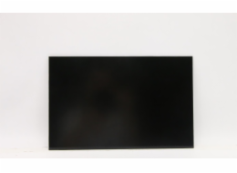 Lenovo FRU SD11A22490 AUO 13.0