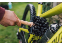PEATY S BOG BRUSH