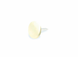 Ozdobné hřebíky, 8 x 8 mm, 55 ks