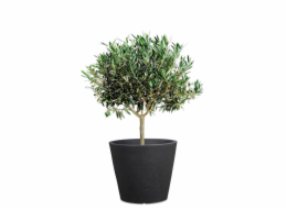 Hrnec Scheurich Stony Black, plast, O 47 cm