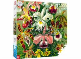 Imagination Puzzle: Ernst Haeckel Orchidej 1000 prvků