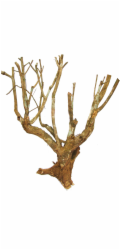 Lucky Reptile Savannah Bush cca 70 cm