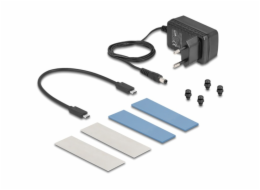 DeLOCK Externí USB 20 Gbps pouzdro pro 2 x M.2 NVMe PCIe SSD, pouzdro na disk
