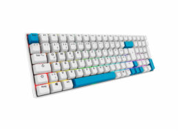 Sharkoon SKILLER SGK50 S2 PBT, herní klávesnice