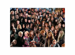 Ravensburger Puzzle Challenge Harry Potter