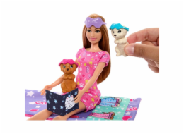 Panenka Mattel Barbie Puppy Party Panenka