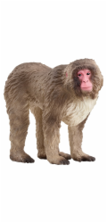 Schleich Wild Life Japonský makak, hračka