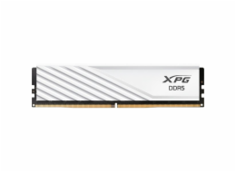 ADATA DIMM 8 GB DDR5-5600 (1x 8 GB), RAM