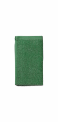 Ručník pro hosty Ladessa 100% bavlna listově zelená 30,0x50,0cm KL-24593