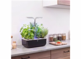 Véritable SMART - Automatický květináč s regulací osvětlení, černá měděná + 4 bylinkové náplně