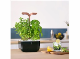 Véritable Exky SMART - Automatický květináč s regulací osvětlení, černá měděná + 2 bylinkové náplně