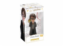 MINIX HARRY POTTER - HARRY POTTER