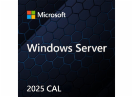 MS Windows Svr CAL 2025 PL 5Clt Device CAL OEM
