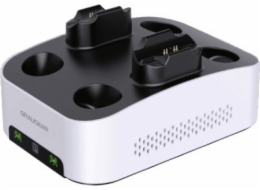 Graugear Kapsa GRAUGEAR Gaming Festplattenge. USB-C m. Dual Ladestation PS5