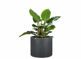 Hrnec Scheurich Schwarz-Granit, plast, O 39 cm
