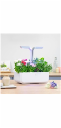 Véritable Lingot Flox