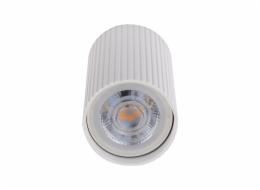 Stropní svítidlo TK Lighting Tune 10023, GU10, bílé