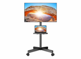 TV mount 23-60" Perlegear PGTVMC06