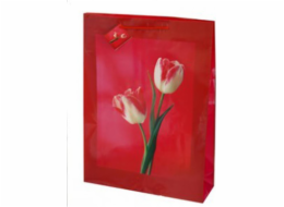 Canpol Dekorativní papírová taška TG-40 33x45,7x10,2 cm