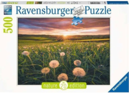 Puzzle 500 Meadow Elements