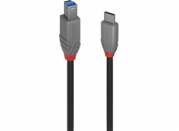 Kabel Lindy Lindy 2m USB 3.2 typu C an B, linka Anthra