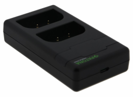 PATONA rychlonabíječka Foto Dual Panasonic DMW-BLF19 + kabel