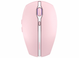 Cherry Gentix BT Cherry Blossom