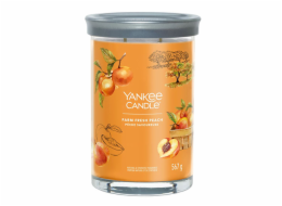 Svíčka ve skleněném válci Yankee Candle, Čerstvá farmářská broskev, 567 g