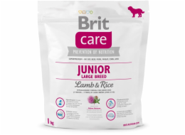Dry food for young dog (3 months - 2 years) large breeds over 25 kg - Brit Care Dog Grain-Free Junior Large salmon 1kg