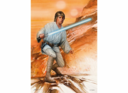  Star Wars - Fearless