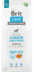 Dry food for young dog (3 months - 2 years) large breeds over 25 kg - Brit Care Dog Grain-Free Junior Large salmon 12kg