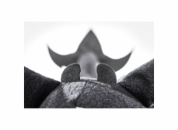 Dragons Thunder              , Kuscheltier