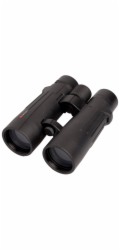 Braun Compagno           8x50 WP