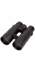 Braun Compagno          10x50 WP