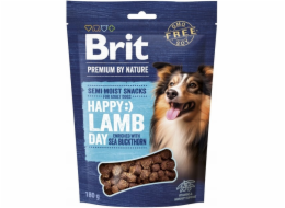 BRIT Premium Dog Snack Jehněčí s Rakytníkem - pamlsky pro psy - 180g
