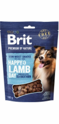 BRIT Premium Dog Snack Jehněčí s Rakytníkem - pamlsky pro psy - 180g