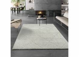DOMOLETTI Koberec Domoletti Ideal 80260 360, bílý, 230 cm x 160 cm